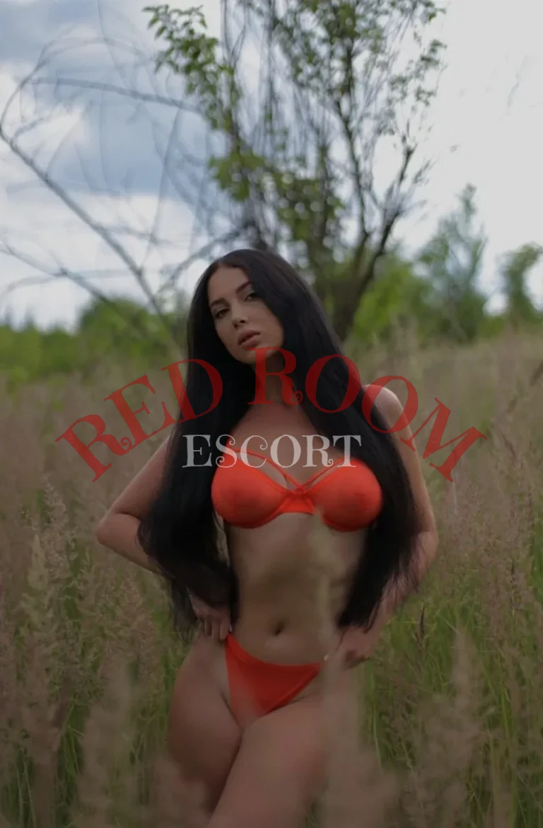 Эскортница Катя - грудь 3, рост 171 см, вес 58 кг, цвет волос Шатенки